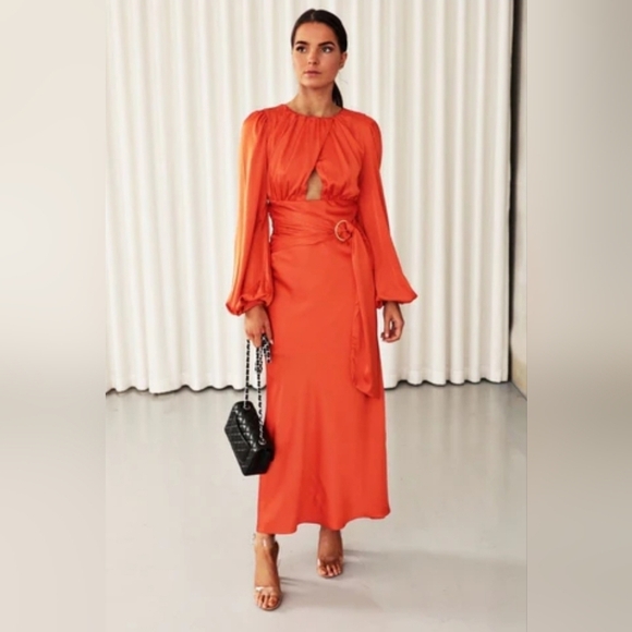 Dresses & Skirts - PETAL AND PUP MIDI DRESS